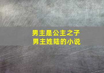 男主是公主之子 男主姓陆的小说